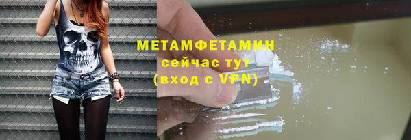 прущие грибы Саяногорск